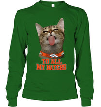 Load image into Gallery viewer, Denver Broncos cat to all my haters shirt
