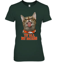 Load image into Gallery viewer, Denver Broncos cat to all my haters shirt