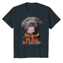 Load image into Gallery viewer, Denver Broncos to all my haters pitbull