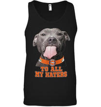 Load image into Gallery viewer, Denver Broncos to all my haters pitbull shirt