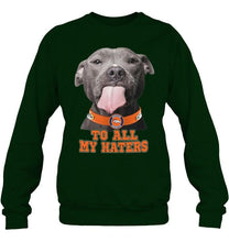 Load image into Gallery viewer, Denver Broncos to all my haters pitbull shirt