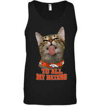 Load image into Gallery viewer, Denver Broncos cat to all my haters shirt