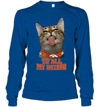 Load image into Gallery viewer, Denver Broncos cat to all my haters shirt