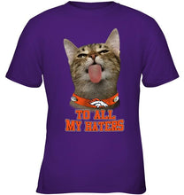 Load image into Gallery viewer, Denver Broncos cat to all my haters shirt