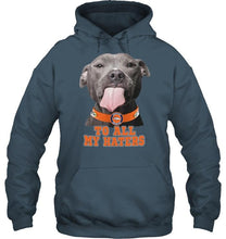 Load image into Gallery viewer, Denver Broncos to all my haters pitbull shirt