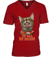 Load image into Gallery viewer, Denver Broncos cat to all my haters shirt