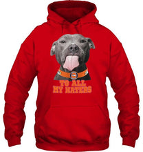 Load image into Gallery viewer, Denver Broncos to all my haters pitbull shirt