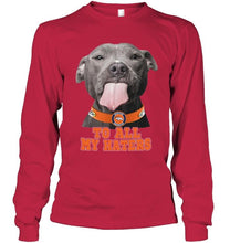 Load image into Gallery viewer, Denver Broncos to all my haters pitbull shirt