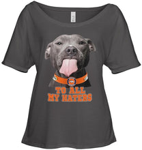 Load image into Gallery viewer, Denver Broncos to all my haters pitbull shirt
