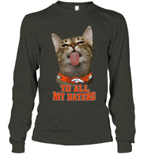 Load image into Gallery viewer, Denver Broncos cat to all my haters shirt