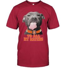 Load image into Gallery viewer, Denver Broncos to all my haters pitbull shirt