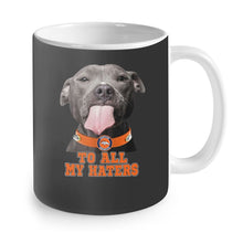 Load image into Gallery viewer, Denver Broncos to all my haters pitbull
