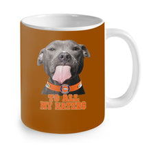 Load image into Gallery viewer, Denver Broncos to all my haters pitbull