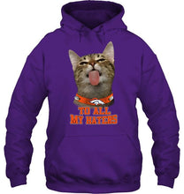 Load image into Gallery viewer, Denver Broncos cat to all my haters shirt