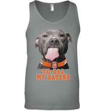 Load image into Gallery viewer, Denver Broncos to all my haters pitbull shirt