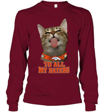 Load image into Gallery viewer, Denver Broncos cat to all my haters shirt
