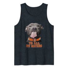 Load image into Gallery viewer, Denver Broncos to all my haters pitbull