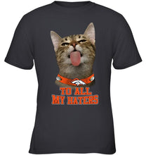 Load image into Gallery viewer, Denver Broncos cat to all my haters shirt