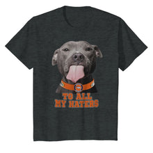 Load image into Gallery viewer, Denver Broncos to all my haters pitbull