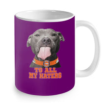 Load image into Gallery viewer, Denver Broncos to all my haters pitbull
