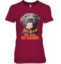Load image into Gallery viewer, Denver Broncos to all my haters pitbull shirt