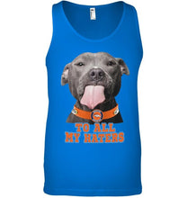 Load image into Gallery viewer, Denver Broncos to all my haters pitbull shirt