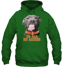Load image into Gallery viewer, Denver Broncos to all my haters pitbull shirt
