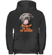 Load image into Gallery viewer, Denver Broncos to all my haters pitbull shirt
