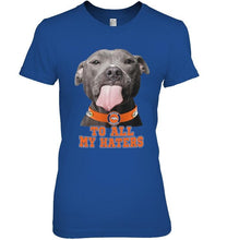 Load image into Gallery viewer, Denver Broncos to all my haters pitbull shirt