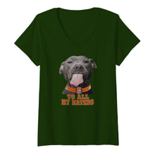 Load image into Gallery viewer, Denver Broncos to all my haters pitbull