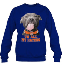 Load image into Gallery viewer, Denver Broncos to all my haters pitbull shirt