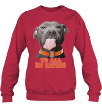 Load image into Gallery viewer, Denver Broncos to all my haters pitbull shirt