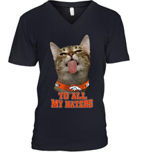Load image into Gallery viewer, Denver Broncos cat to all my haters shirt