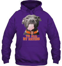 Load image into Gallery viewer, Denver Broncos to all my haters pitbull shirt
