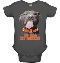 Load image into Gallery viewer, Denver Broncos to all my haters pitbull shirt
