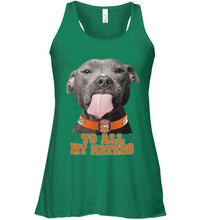 Load image into Gallery viewer, Denver Broncos to all my haters pitbull shirt
