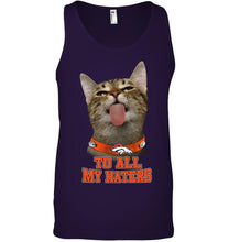 Load image into Gallery viewer, Denver Broncos cat to all my haters shirt
