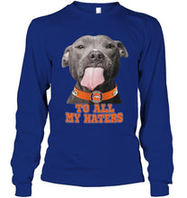 Load image into Gallery viewer, Denver Broncos to all my haters pitbull shirt
