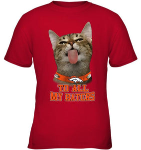 Denver Broncos cat to all my haters shirt