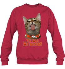 Load image into Gallery viewer, Denver Broncos cat to all my haters shirt
