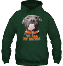 Load image into Gallery viewer, Denver Broncos to all my haters pitbull shirt
