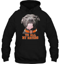 Load image into Gallery viewer, Denver Broncos to all my haters pitbull shirt
