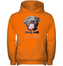 Load image into Gallery viewer, Denver Broncos to all my haters pitbull shirt
