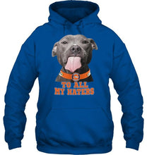 Load image into Gallery viewer, Denver Broncos to all my haters pitbull shirt
