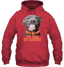 Load image into Gallery viewer, Denver Broncos to all my haters pitbull shirt
