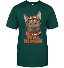 Load image into Gallery viewer, Denver Broncos cat to all my haters shirt
