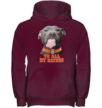 Load image into Gallery viewer, Denver Broncos to all my haters pitbull shirt
