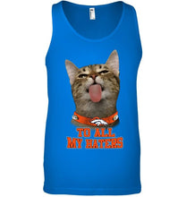 Load image into Gallery viewer, Denver Broncos cat to all my haters shirt
