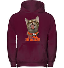 Load image into Gallery viewer, Denver Broncos cat to all my haters shirt
