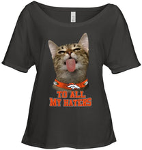 Load image into Gallery viewer, Denver Broncos cat to all my haters shirt
